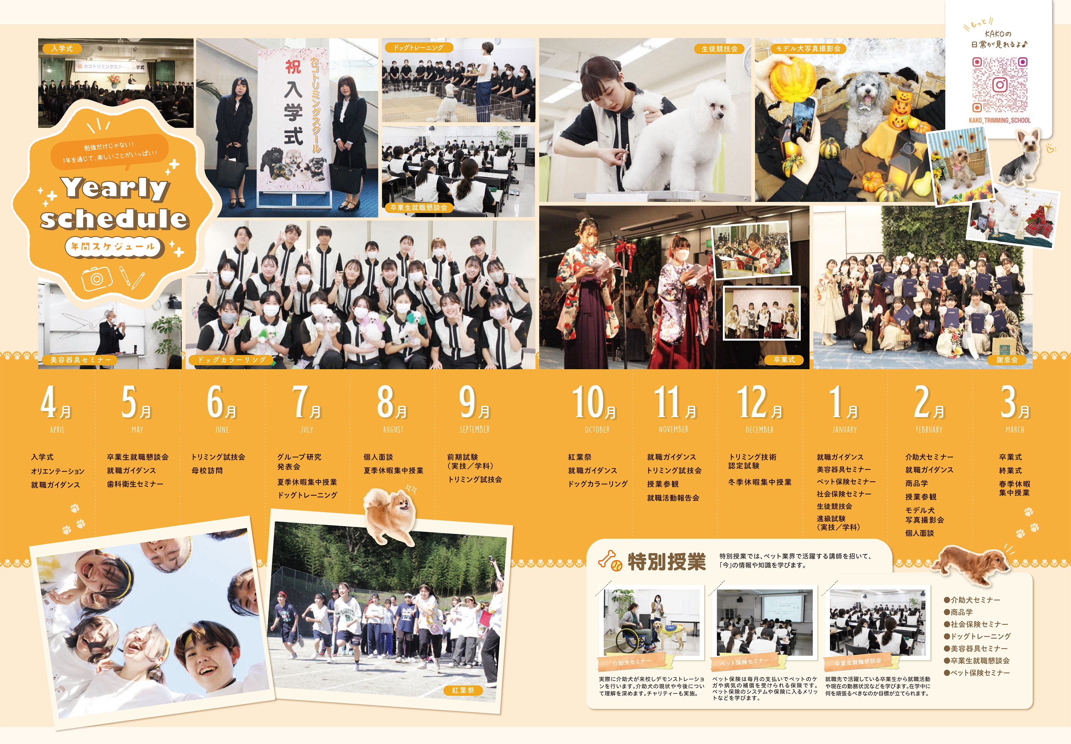 年間イベント