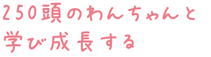 授業は50分×4コマで13:20に終了
