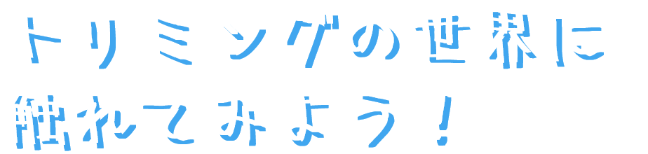 トリミングの世界に触れてみよう！