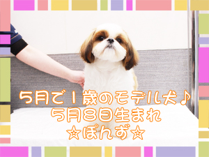 ５月で１歳になりました！