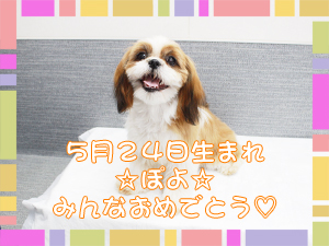 カコトリミングスクールの動物看護科1年生が検査実習で検体の作り方などを学びました