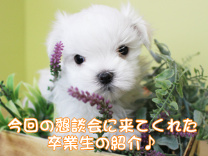 参加をしてくれた卒業生♪
