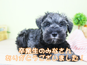 卒業生懇談会が開催され2年生が卒業生から就職活動の方法を学びました
