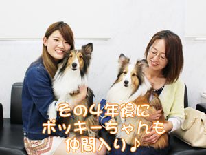 カコトリミングスクールのモデル犬は5歳までに里親を探して一般家庭に行きますが今回は里親さんと一緒に遊びに来てくれました
