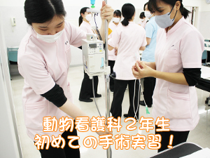 初、手術実習☆