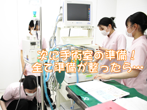 カコトリミングスクールの動物看護科2年生が歯石除去手術の実習を行い校内のモデル犬のケアをしました