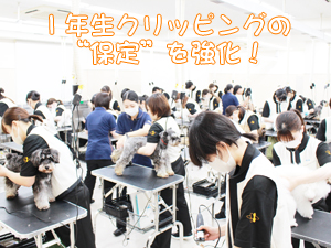 1年生“保定”を強化!