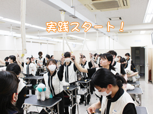 カコトリミングスクールではプロトリマーになるための基礎トレーニングをしっかり学んでいます