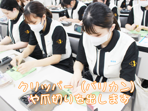 カコトリミングスクールの1年生の基礎実習