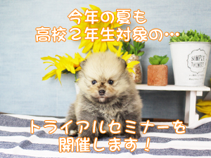 高校2年生対象のトライアルセミナーを開催します!