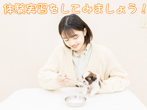 カコトリミングスクールでは高校2年生対象の説明会を開催します