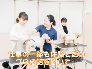 カコトリミングスクールでは高校2年生対象の説明会を開催します