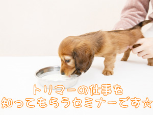 カコトリミングスクールでは高校2年生対象の説明会を開催します