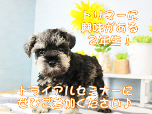 カコトリミングスクールでは高校2年生対象の説明会を開催します