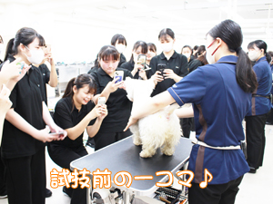 カコトリミングスクールの1年生に向けて先生の試技会を行いプロトリマーの技術を披露しました