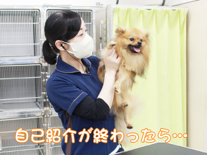 カコトリミングスクールの1年生に向けて先生の試技会を行いプロトリマーの技術を披露しました