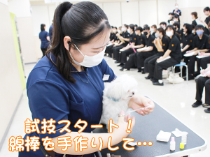 カコトリミングスクールの1年生に向けて先生の試技会を行いプロトリマーの技術を披露しました