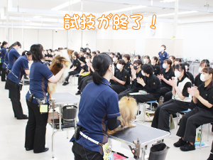 カコトリミングスクールの1年生に向けて先生の試技会を行いプロトリマーの技術を披露しました