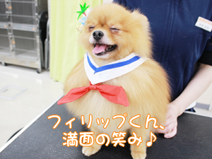カコトリミングスクールの1年生に向けて先生の試技会を行いプロトリマーの技術を披露しました
