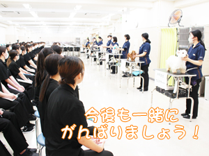 カコトリミングスクールの1年生に向けて先生の試技会を行いプロトリマーの技術を披露しました