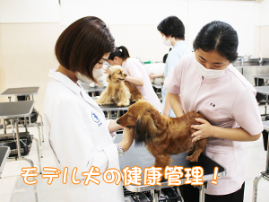 ☆健康観察は動物看護科の日課☆