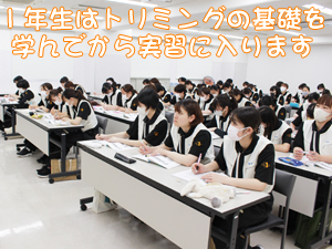 カコトリミングスクールではトリミング実習と同時に美容講義でカットスタイルのイメージがわかるのでトリミングが学びやすいです