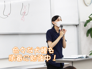 カコトリミングスクールではトリミング実習と同時に美容講義でカットスタイルのイメージがわかるのでトリミングが学びやすいです