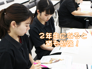 カコトリミングスクールではトリミング実習と同時に美容講義でカットスタイルのイメージがわかるのでトリミングが学びやすいです