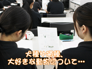 カコトリミングスクールではトリミング実習と同時に美容講義でカットスタイルのイメージがわかるのでトリミングが学びやすいです