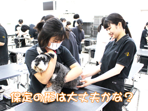 カコトリミングスクールのトリマー科では動物のプロになるために動物看護の授業もしっかり学びます