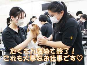 カコトリミングスクールのトリマー科では動物のプロになるために動物看護の授業もしっかり学びます