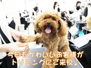 本日もかわいいお客様がご来校☆